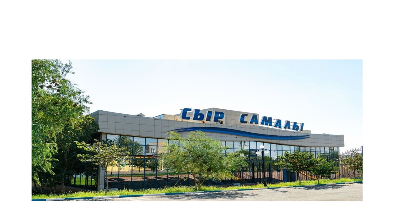 Сыр самалы